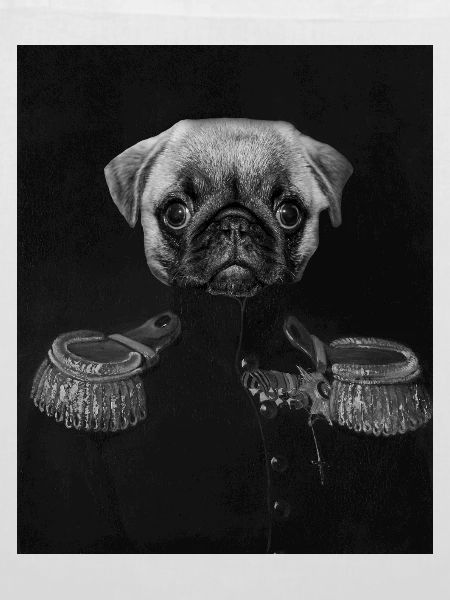 General Pug mit kaiserlichem Porträt