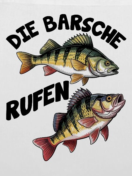 Barsch Angeln