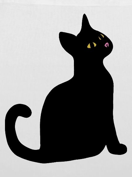 Nächtliche Katzenblick