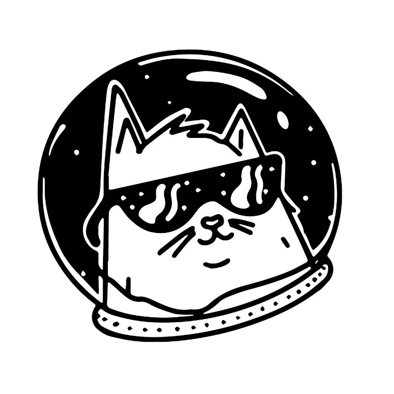 CoolSpaceCat