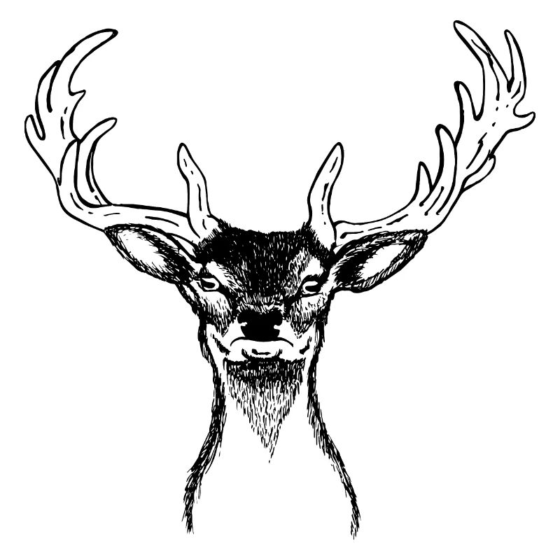 Hirschkopf | Deer Head