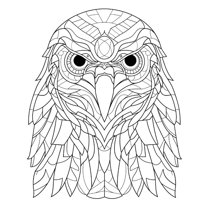 Abstract Hawk Essence: Line Art Interpretation