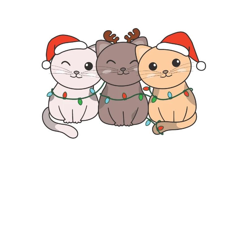 Chat Noël Animaux Chats mignons