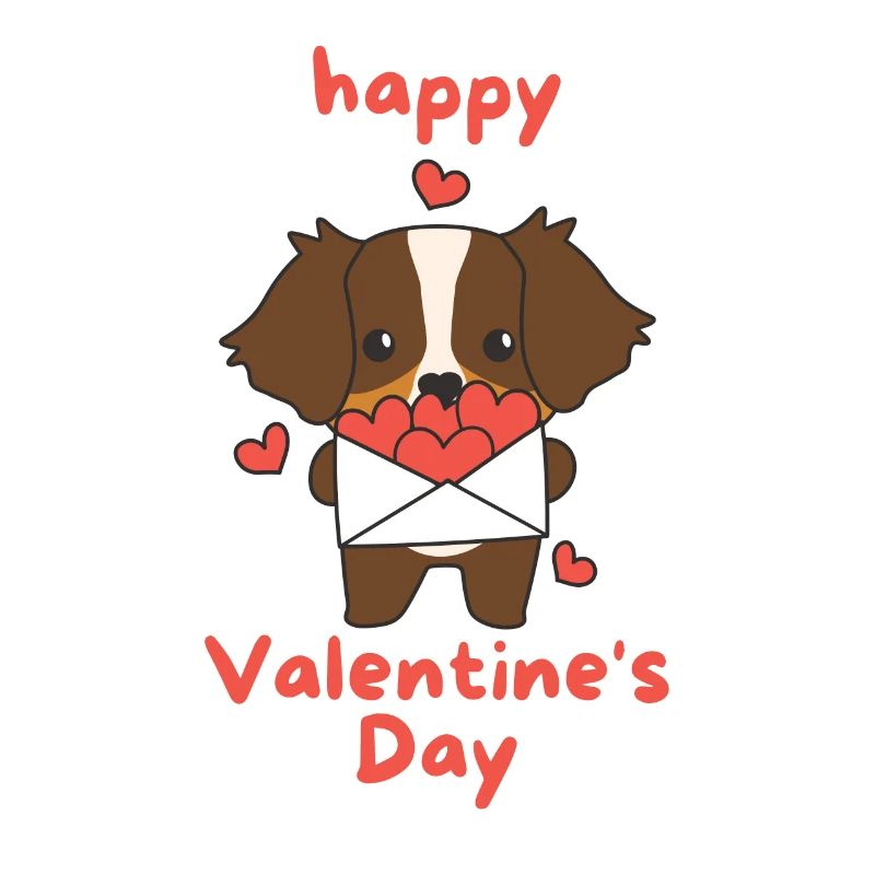 Berger australien Saint-Valentin animaux mignons