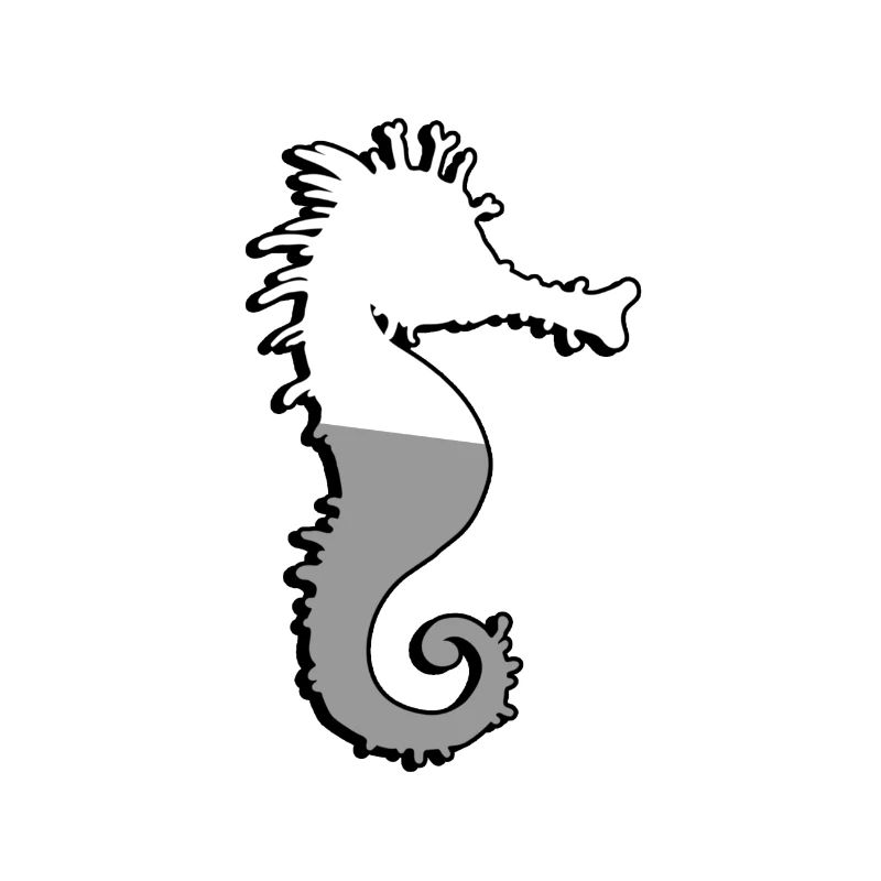 Seepferdchen - Illustration
