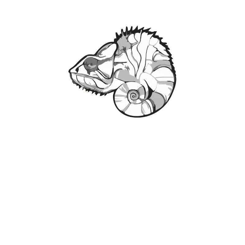 süßes kleines Chamäleon, Chamaeleon