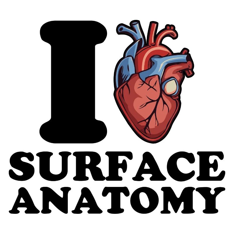 J’adore l’anatomie de surface