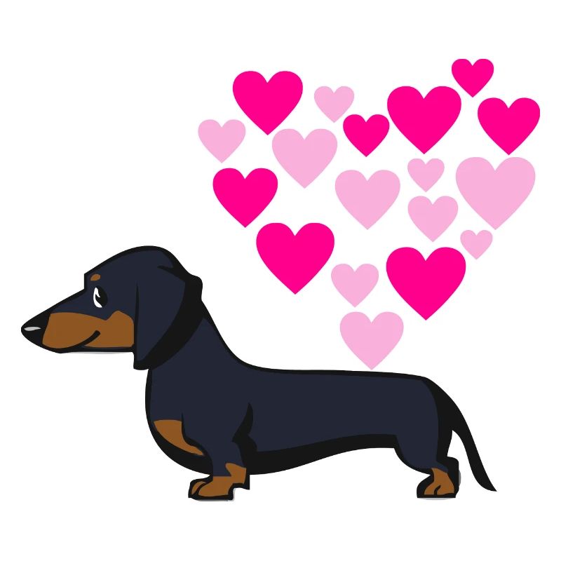 Dackel Liebe