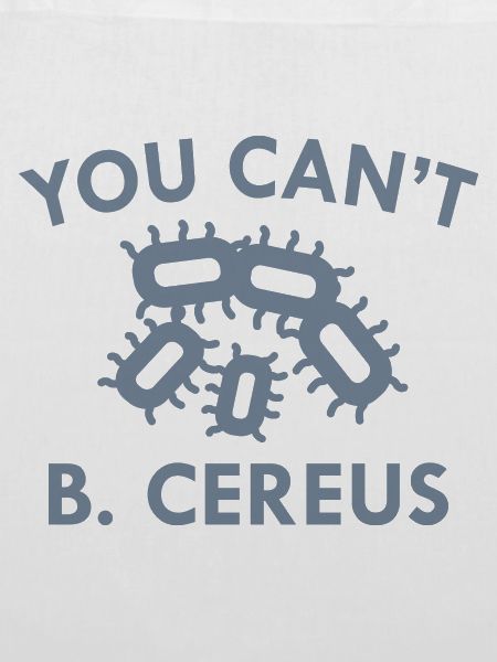 Sie können B. Cereus nicht