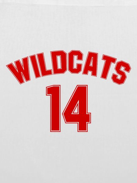 High School Musical Wildcats