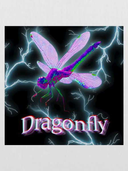 Trippy Dragonfly - Travis Scott Style