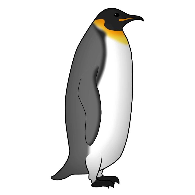 Kaiserpinguin steht