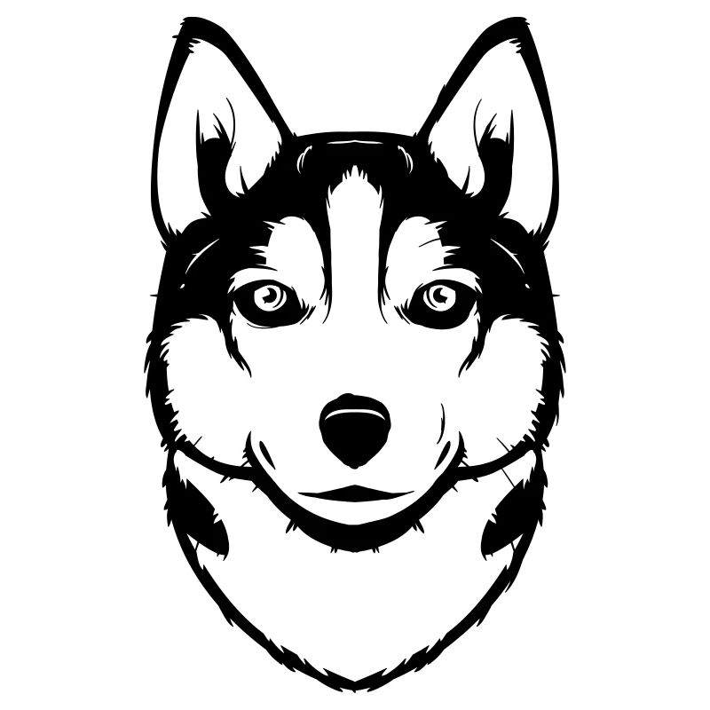 Siberian Husky