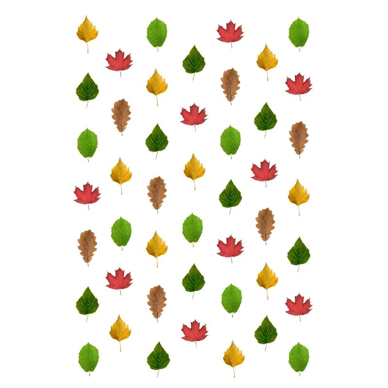 Leafs