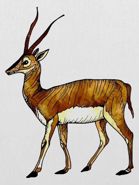Antilope