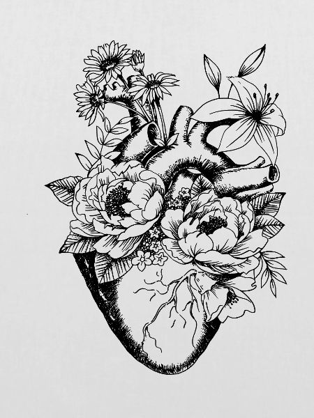 Anatomie Herz / Blumen