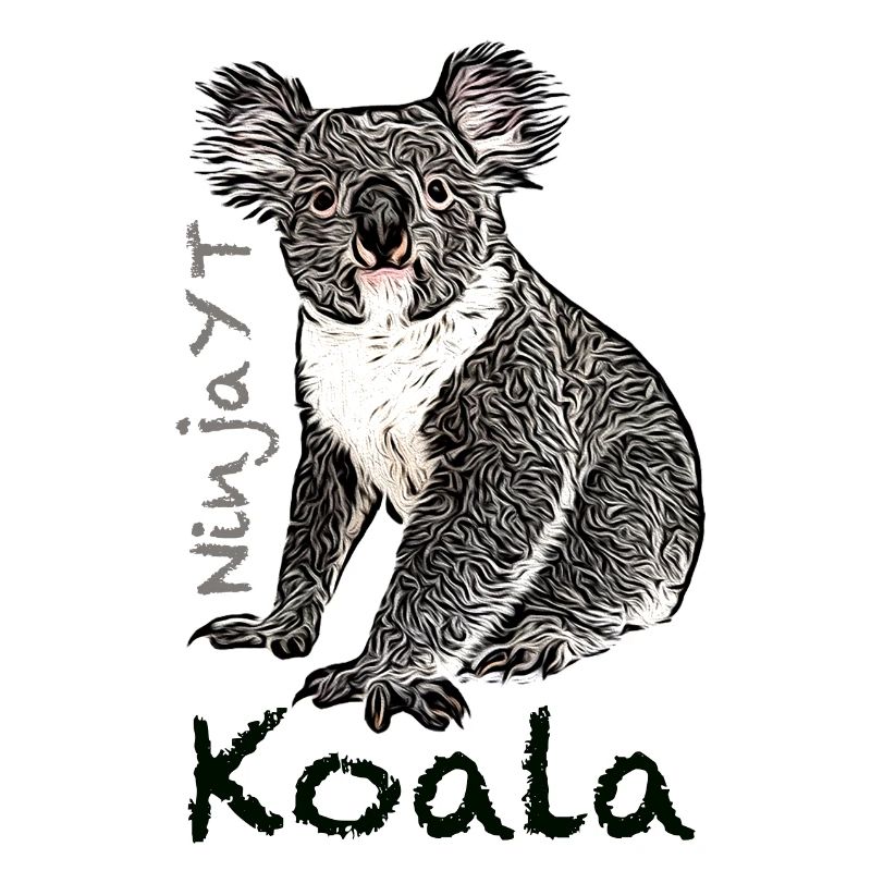 Koala Ninja YouTube