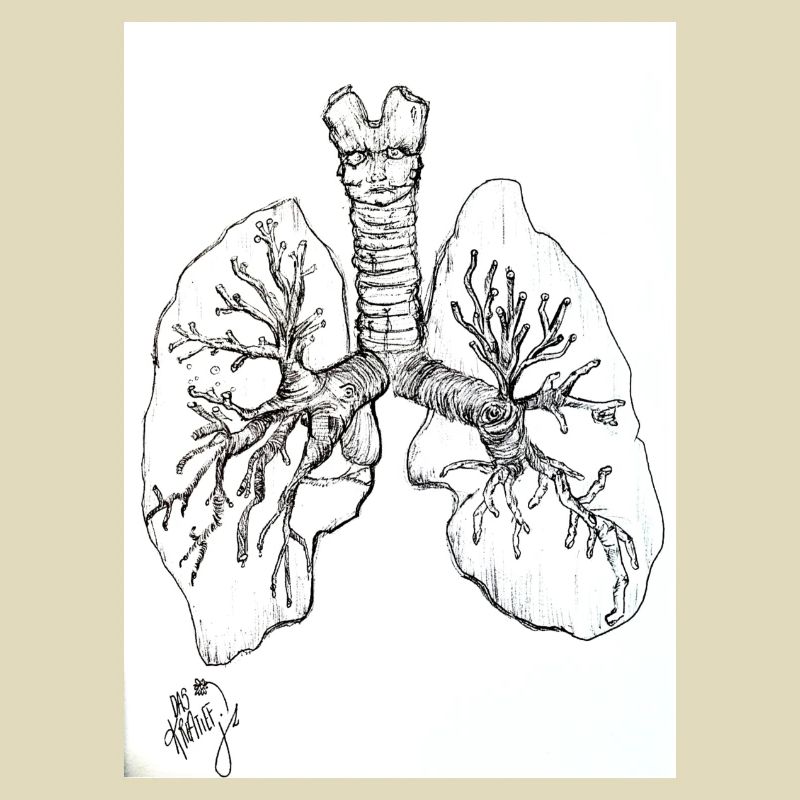 FunWithLungs