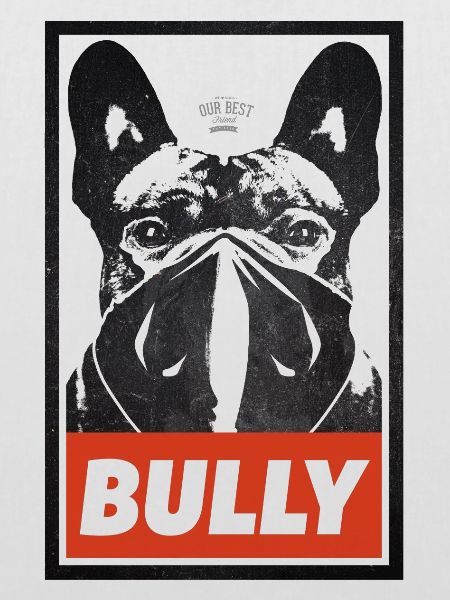 Bully Streetart