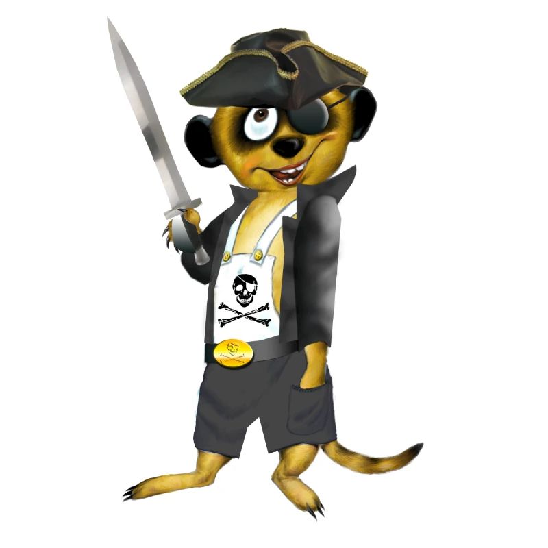 Pirate rascal