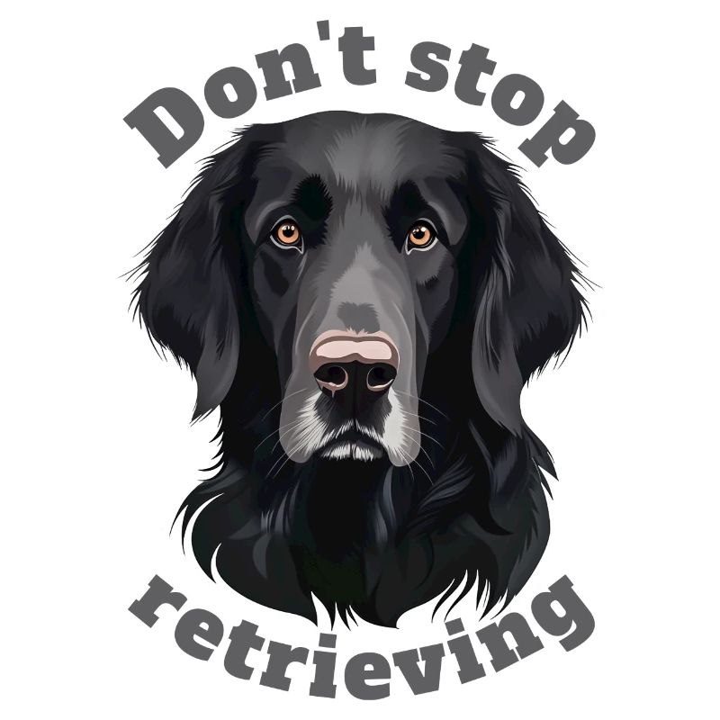 Don't stop retrieving - Labrador