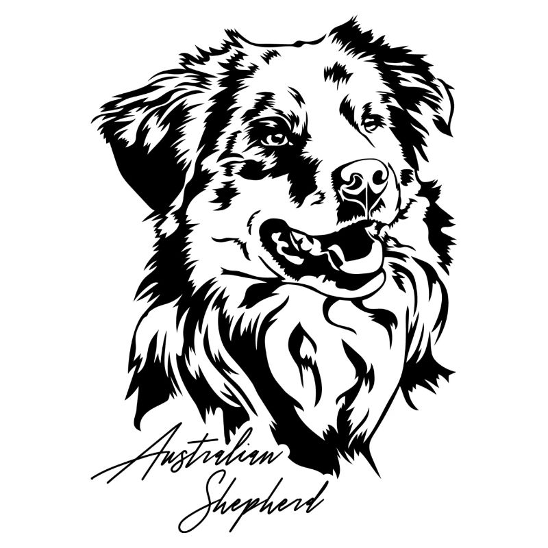 Australian Shepherd Aussie Portrait Hunde Wilsigns