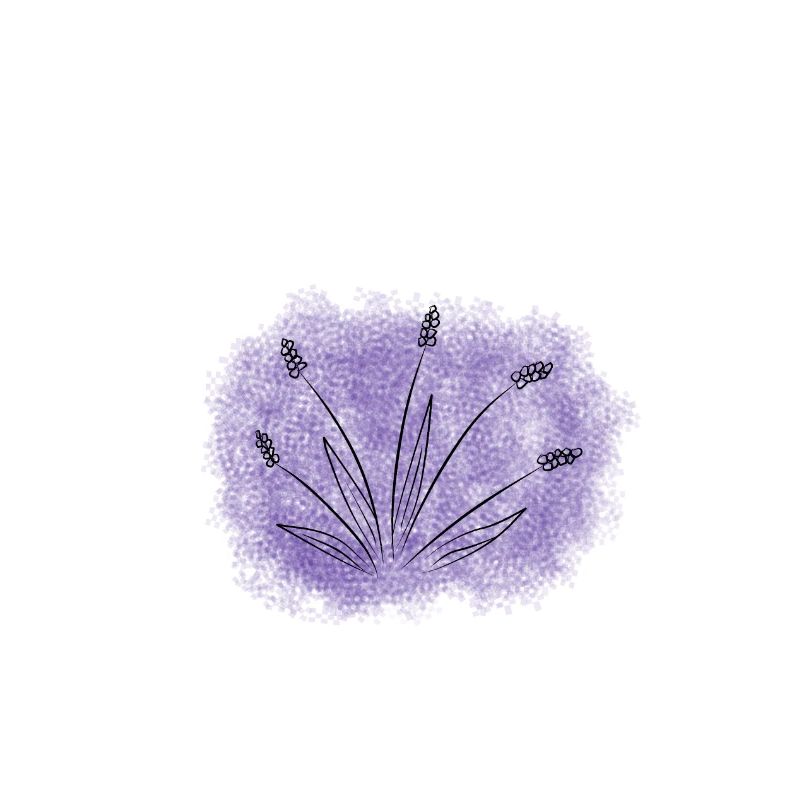 Struck by Lightning - Lavender