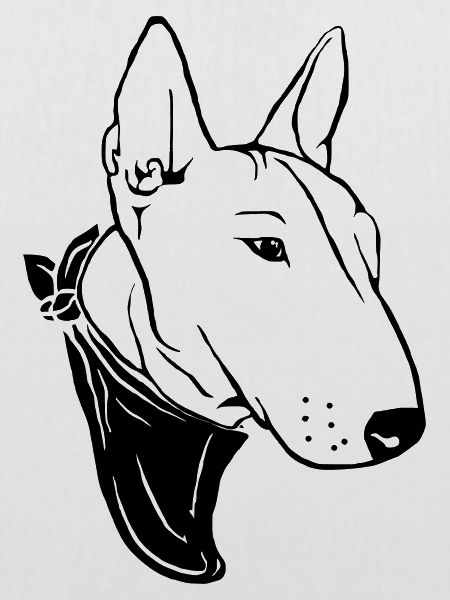 Bullterrier mit Halstuch