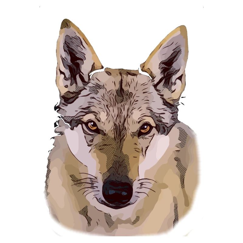Tschechoslowakischer Wolfhund Comic Style