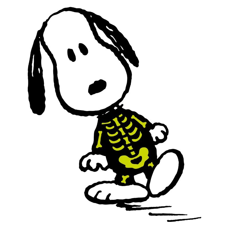 Peanut Snoopy Halloween X-Ray Röntgenbild