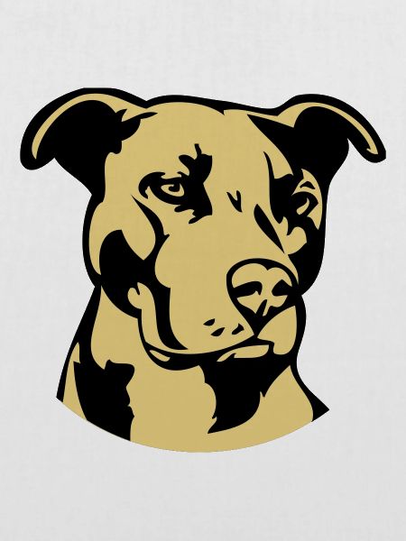 Pitbull zweifarbig - Hund Kampfhund