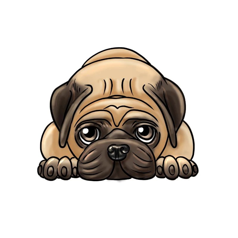 Mops