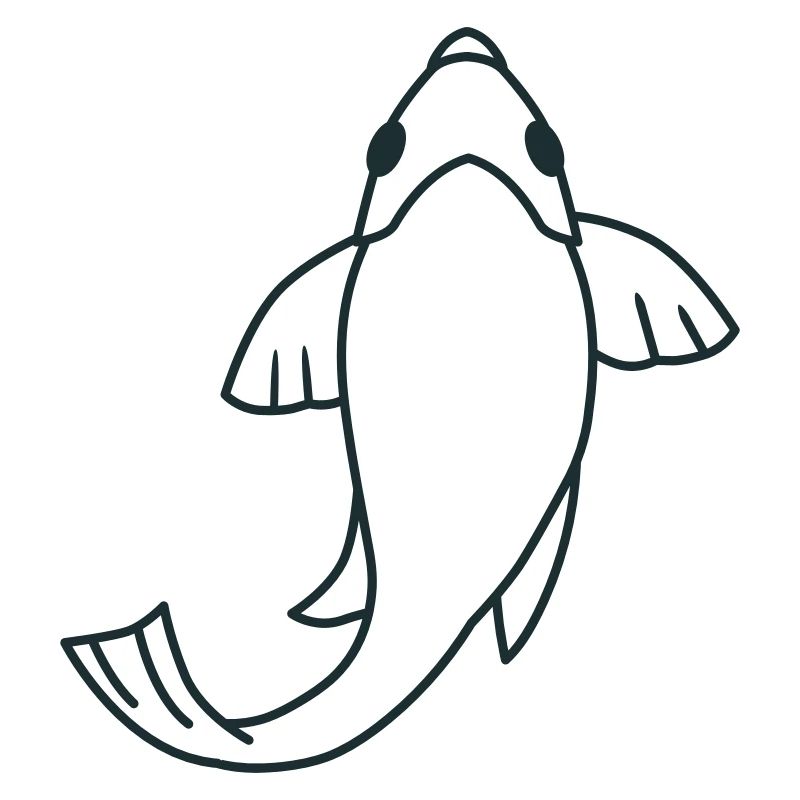 Einzelne Koi-Schwimmfische