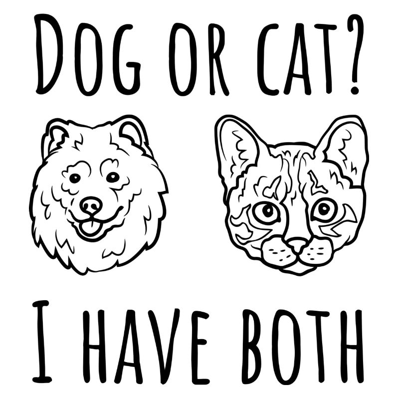 dog and cat
