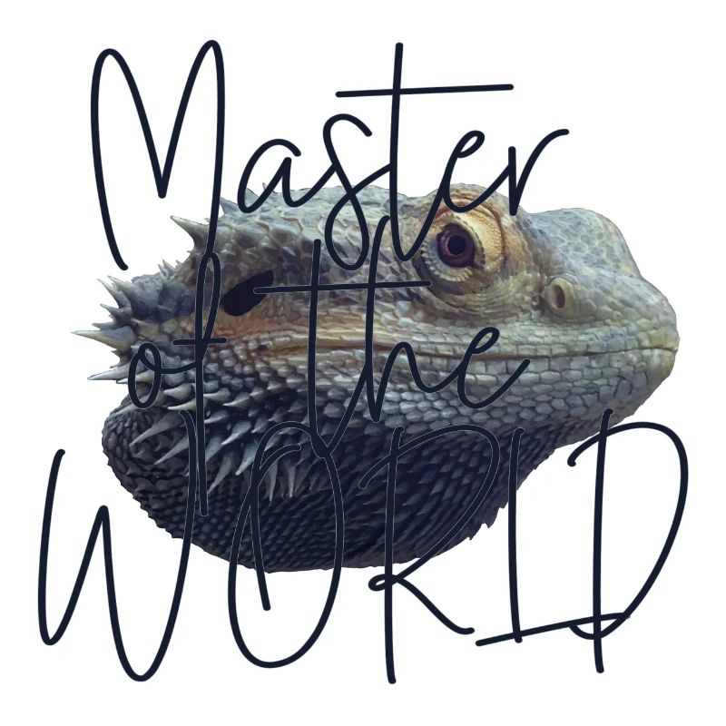 Master