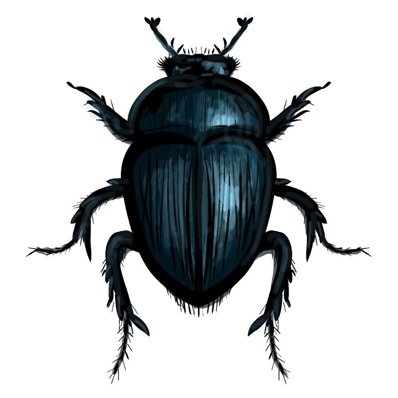 Mistkäfer