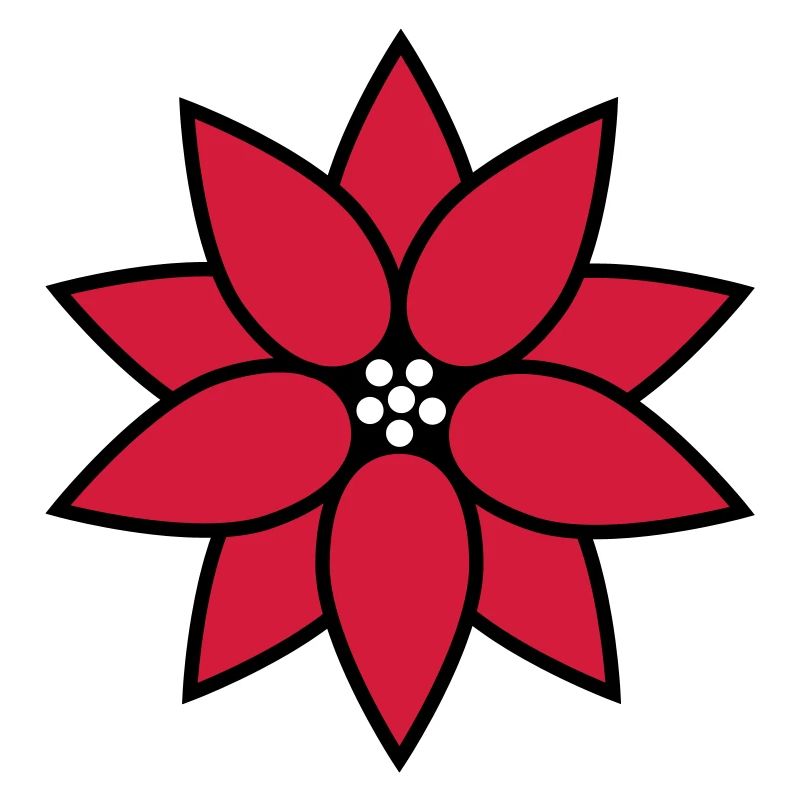 Weihnachtsstern