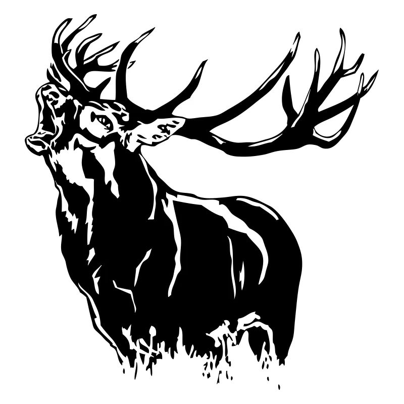 Deer - Hirsch
