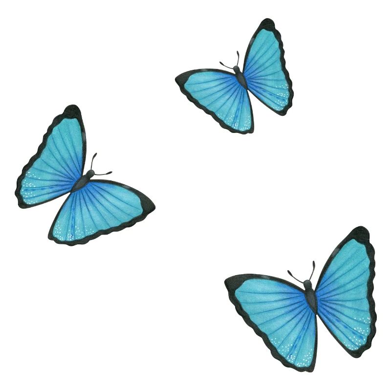 blaue Schmetterlinge