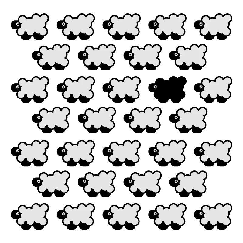 Black Sheep 2C