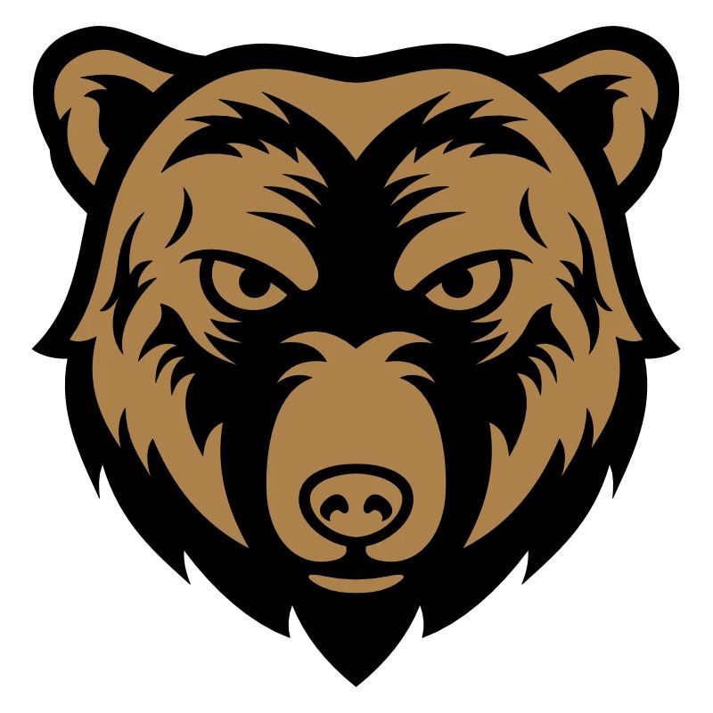 bear face 2