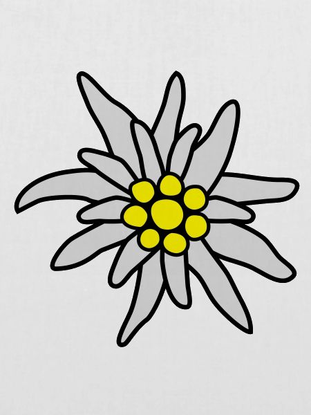 Blüte, Edelweiß
