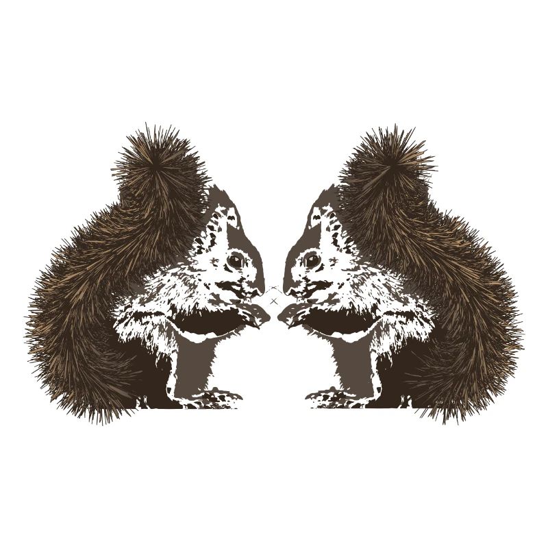 Eichhörnchen, Eichhörnchen