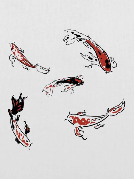 koi carp