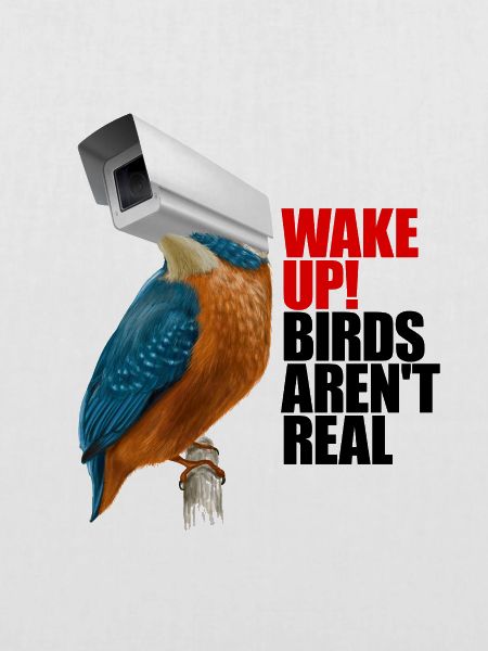 birds aren't real