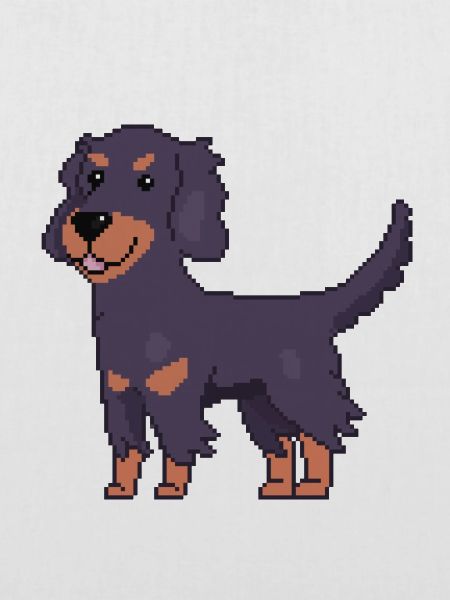 Gordon Setter