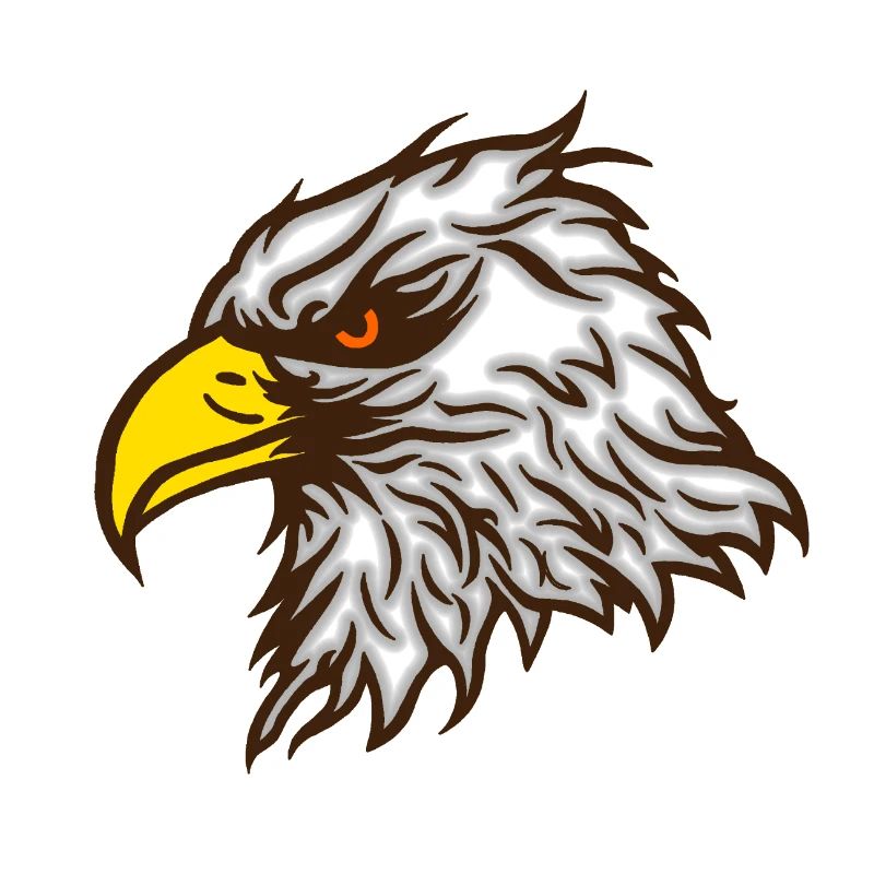Cool bald eagle eagle colored
