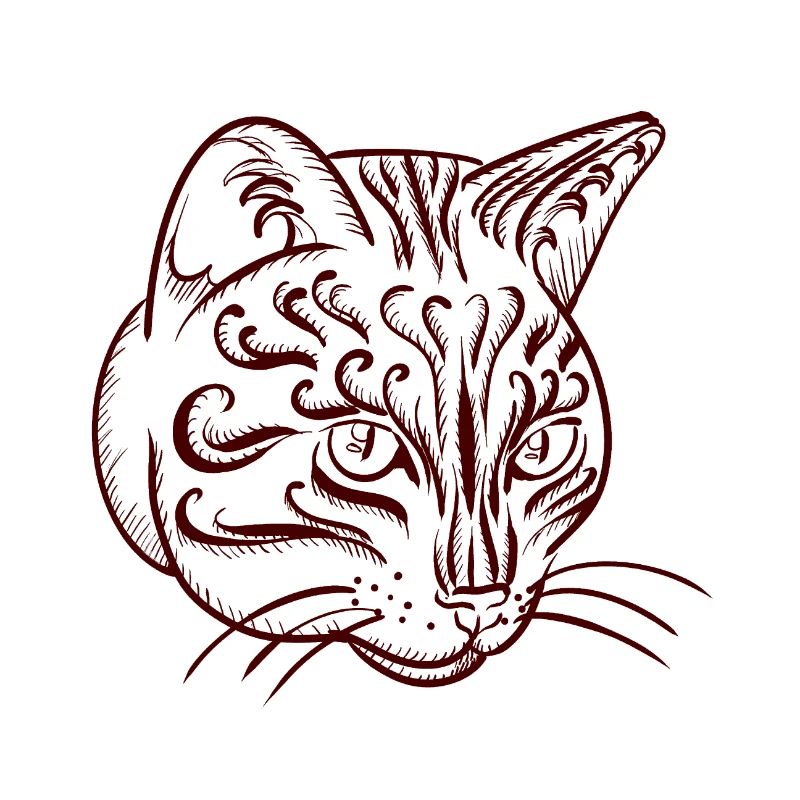 Katze