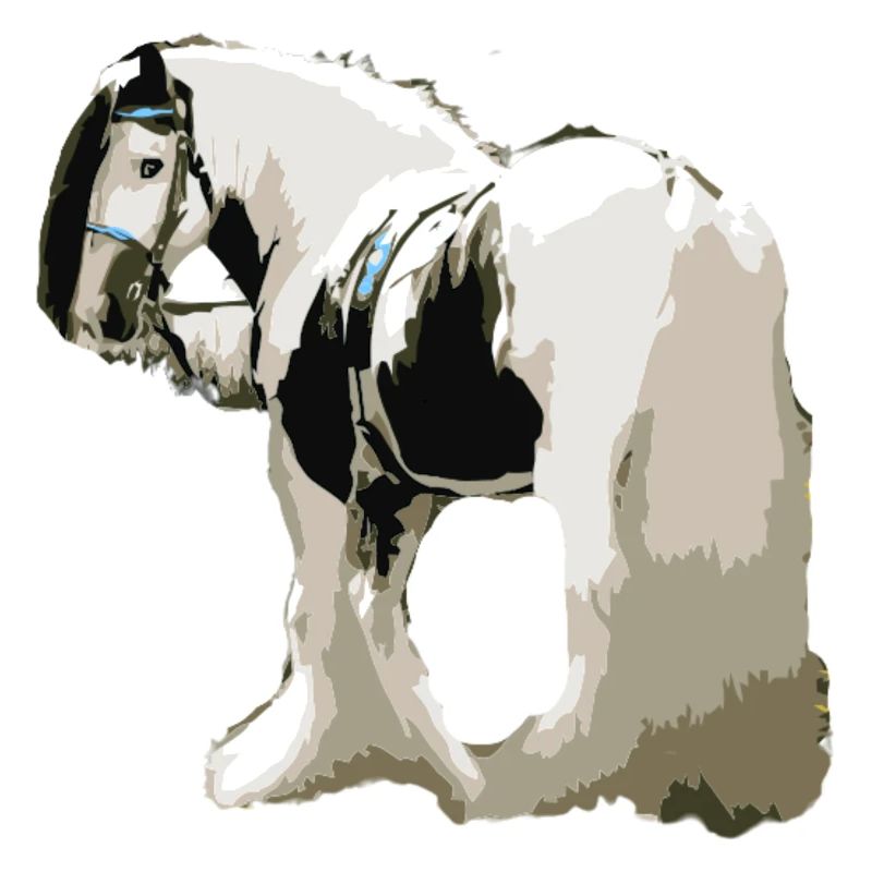 Pferd, Tinker , Pferd Tinker, Geschenkidee