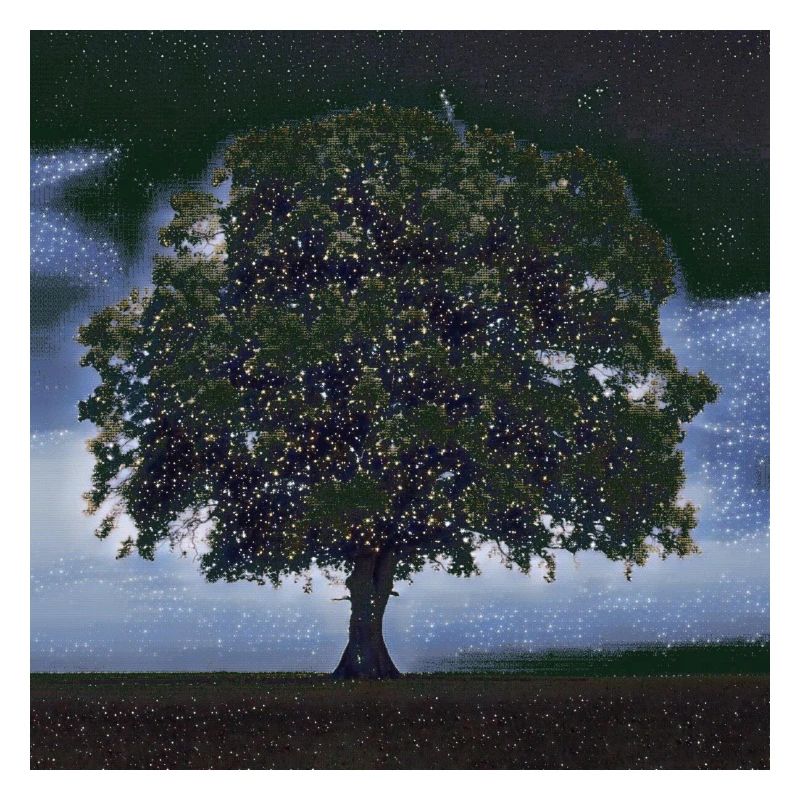 Sternenhimmel Baum
